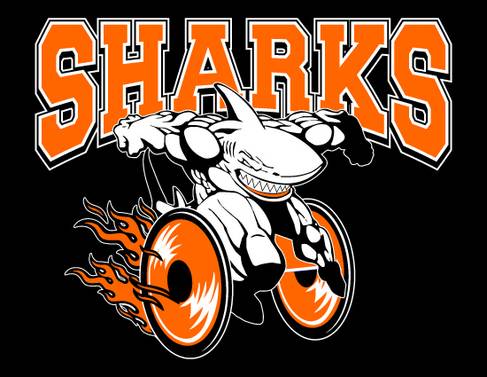 sharks